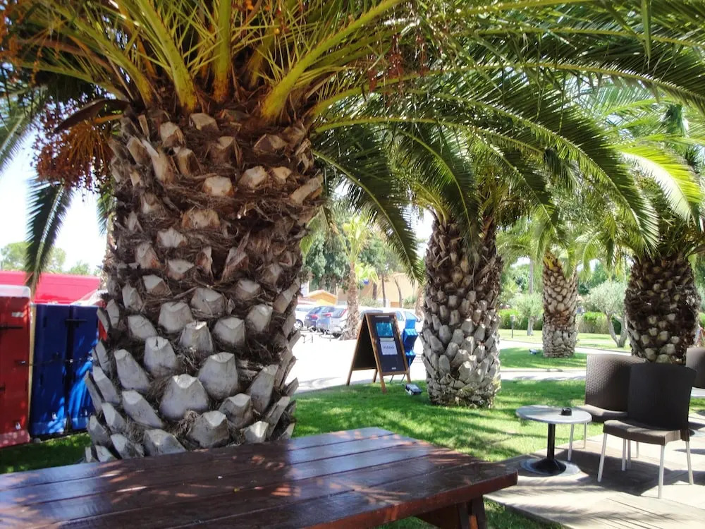 Property With 3 Bedrooms in Vias, With Shared Pool, Furnished Terrace and Wifi - 800 m From the Beach