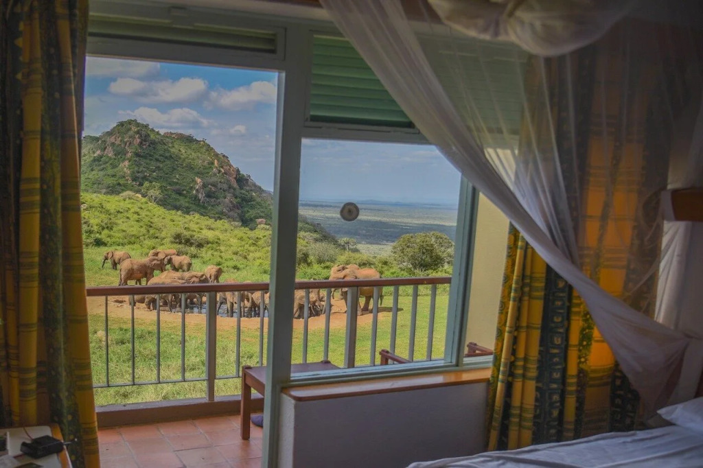 Ngulia Safari Lodge