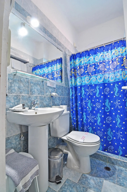 Liogerma