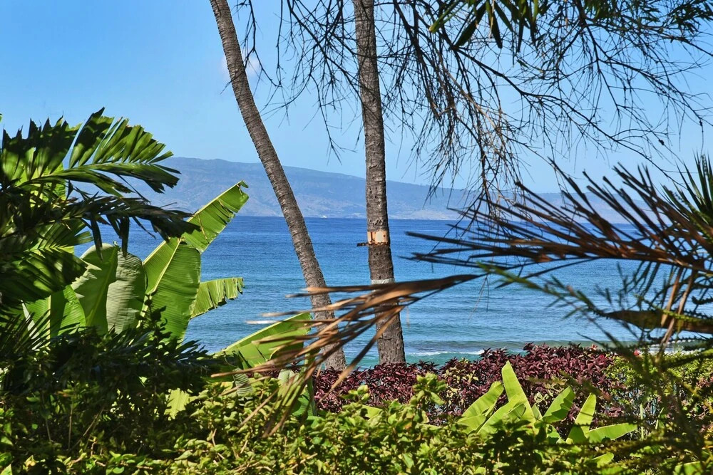 Maui Sands Seaside 718 - 1 Br Condo
