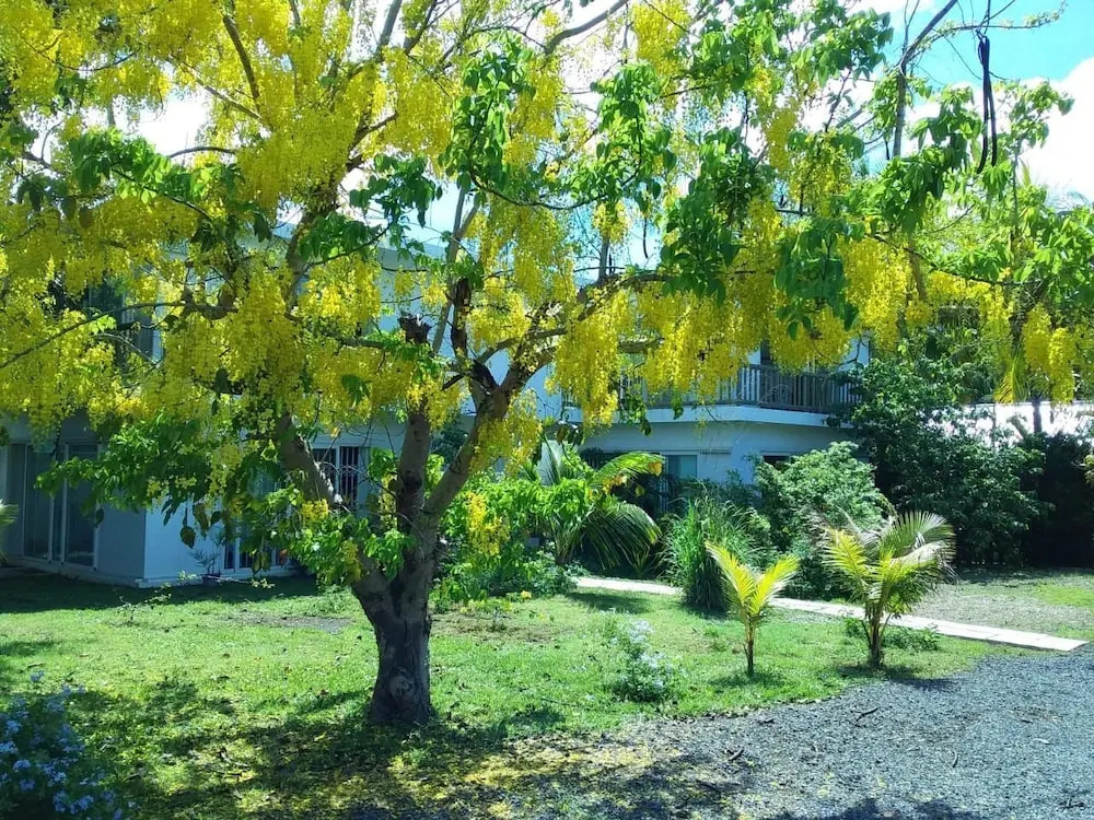 Cap Heureux Villas