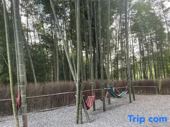 Southern Sichuan Bamboo Sea Forest Resort Homestay