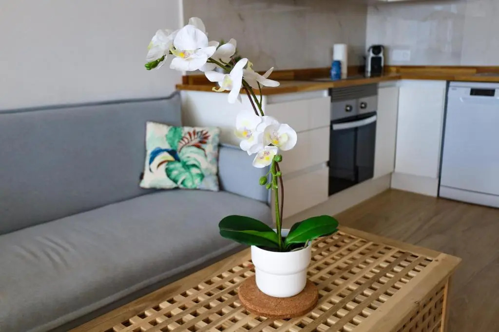 Cosy Sea View Studio FREE WIFI
