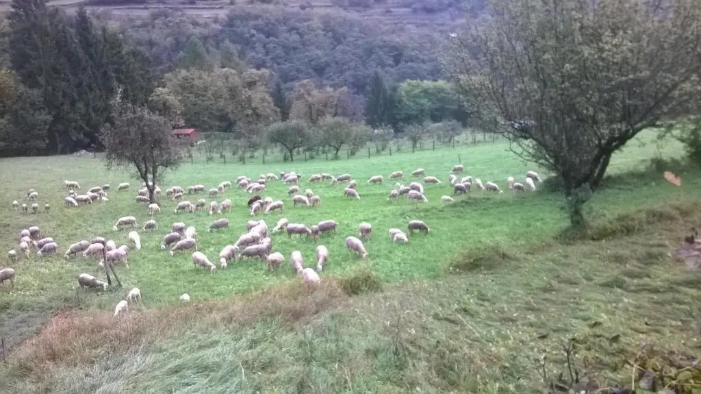 Antica Casa Ortensia