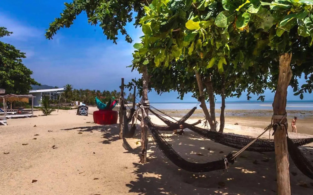 Dancing Elephant Beach Club - Hostel