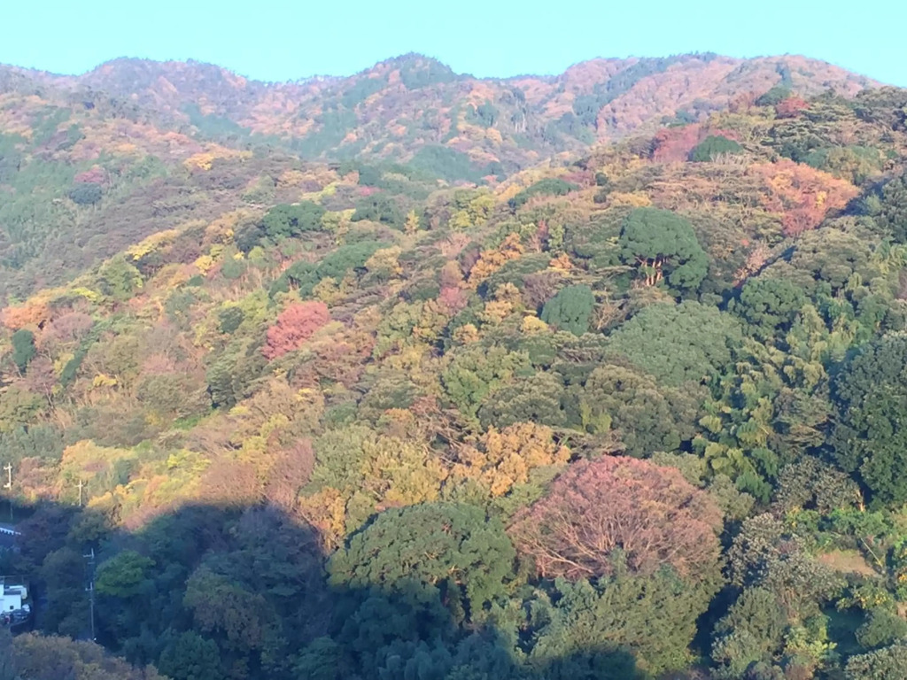 Guest House YAMATOSO