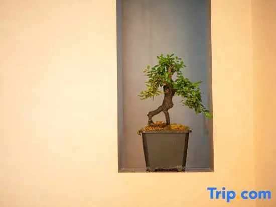 Nianchu Homestay (Jianshui Ancient Town Xiaohuoche)