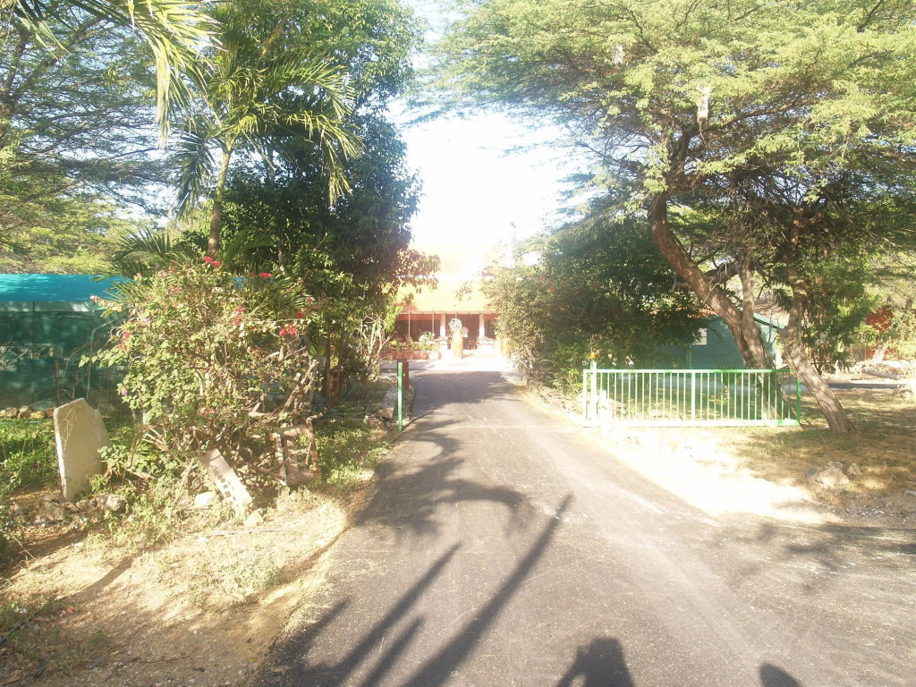 Landhuis Daniel - Plantation House