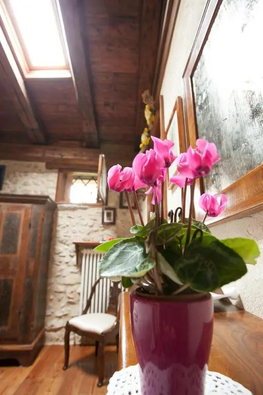B&B Asolo Casapagnano