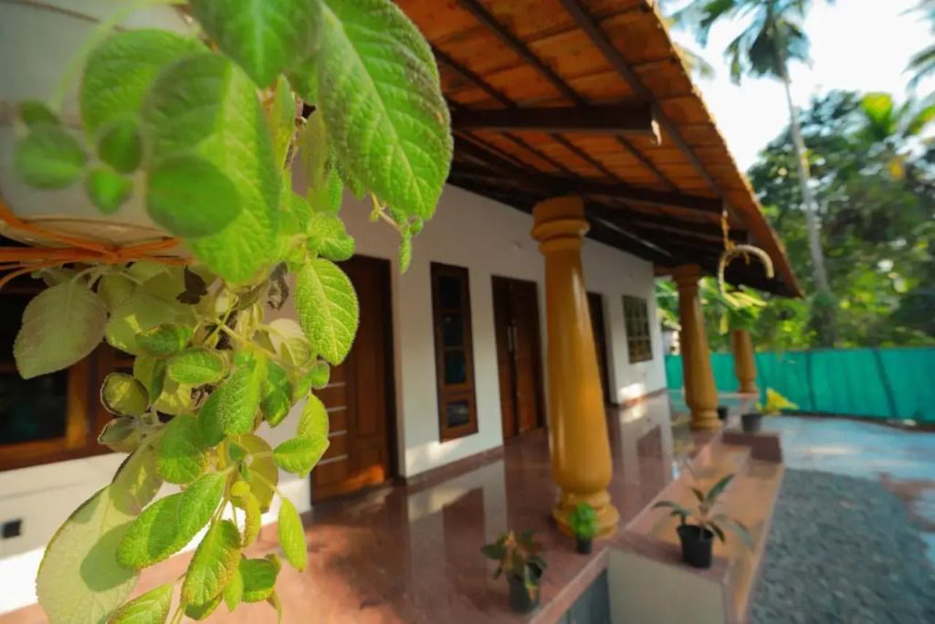 Munroe Paradise