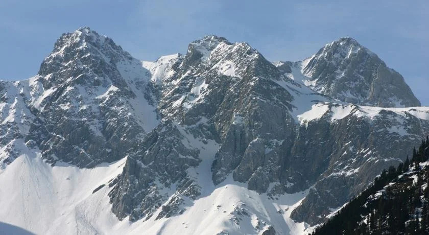 Alpenlofts Brand