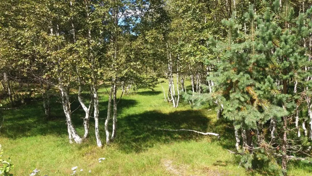 Apartmány U Šakala