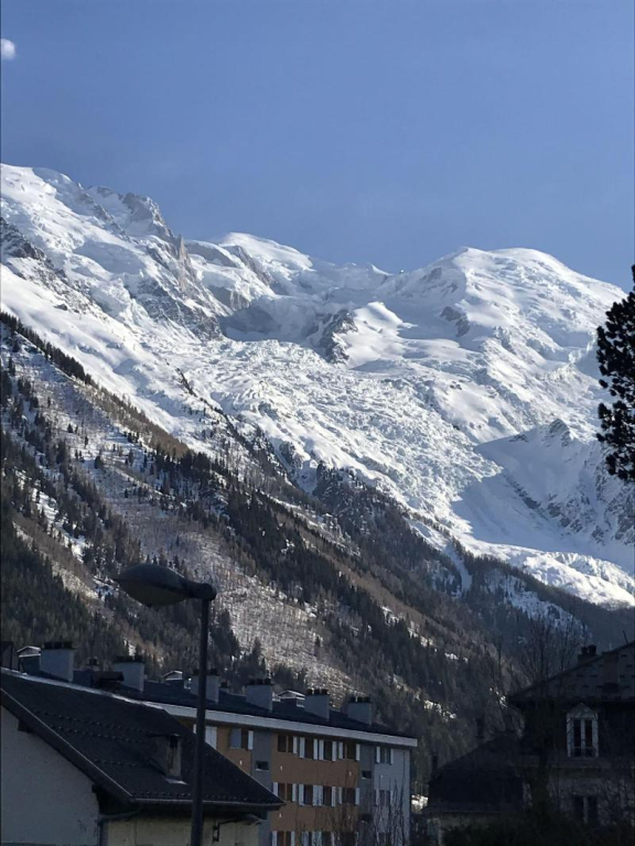 AppartHotel Aiguille Verte & Spa