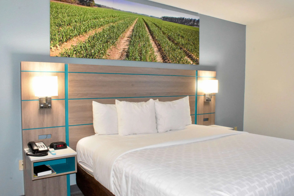 Comfort Inn Vidalia
