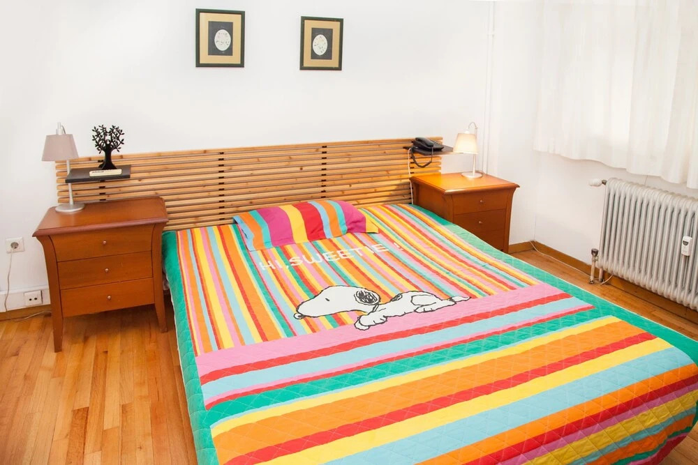 Cute Apartment