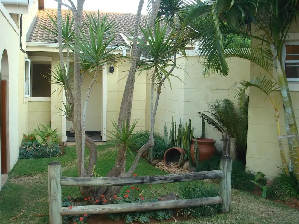 The Lazy Lizard