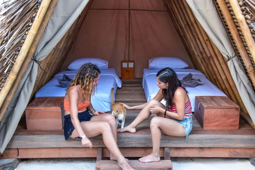Mad Monkey Gili Trawangan