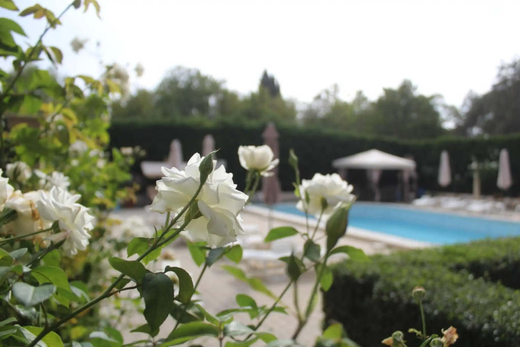 Lovely 1-bedroom apartment with pool, 250 m to the beach