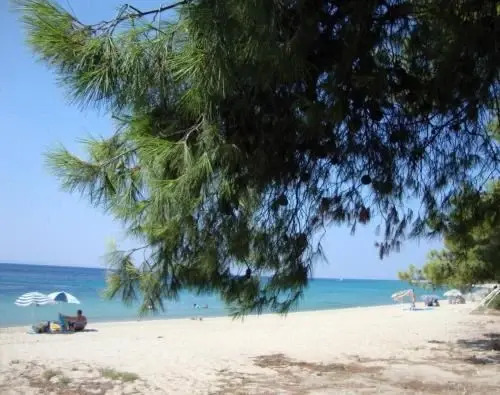 Flat 2 bedrooms 1 bathroom - Neos Marmaras