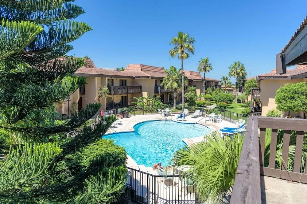Tiki 215 - Cozy 1br Condo With King Bed Sleeps 4 1 Bedroom Condo