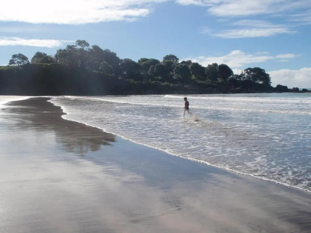 Nga Puriri Bed and Breakfast