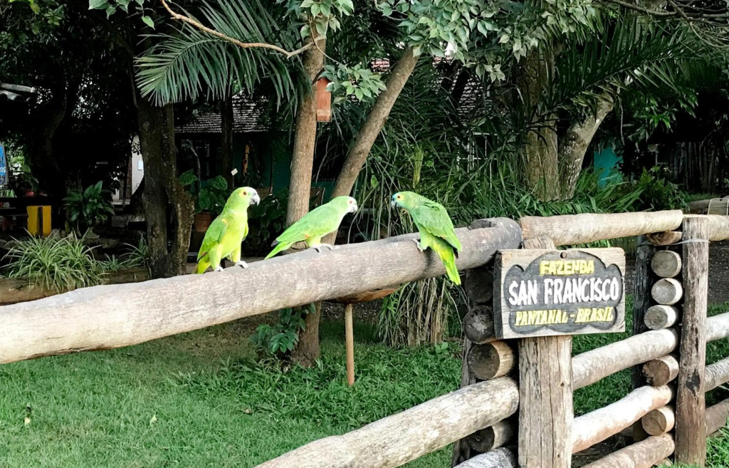 Fazenda San Francisco