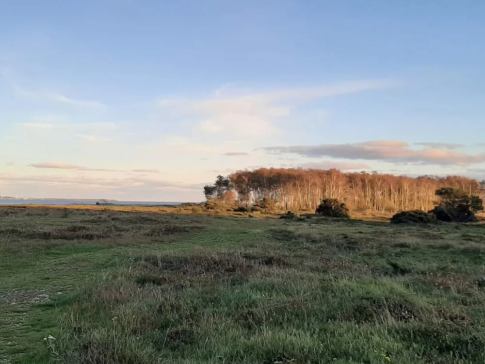 Ravishing Holiday Home in Jutland near Sea