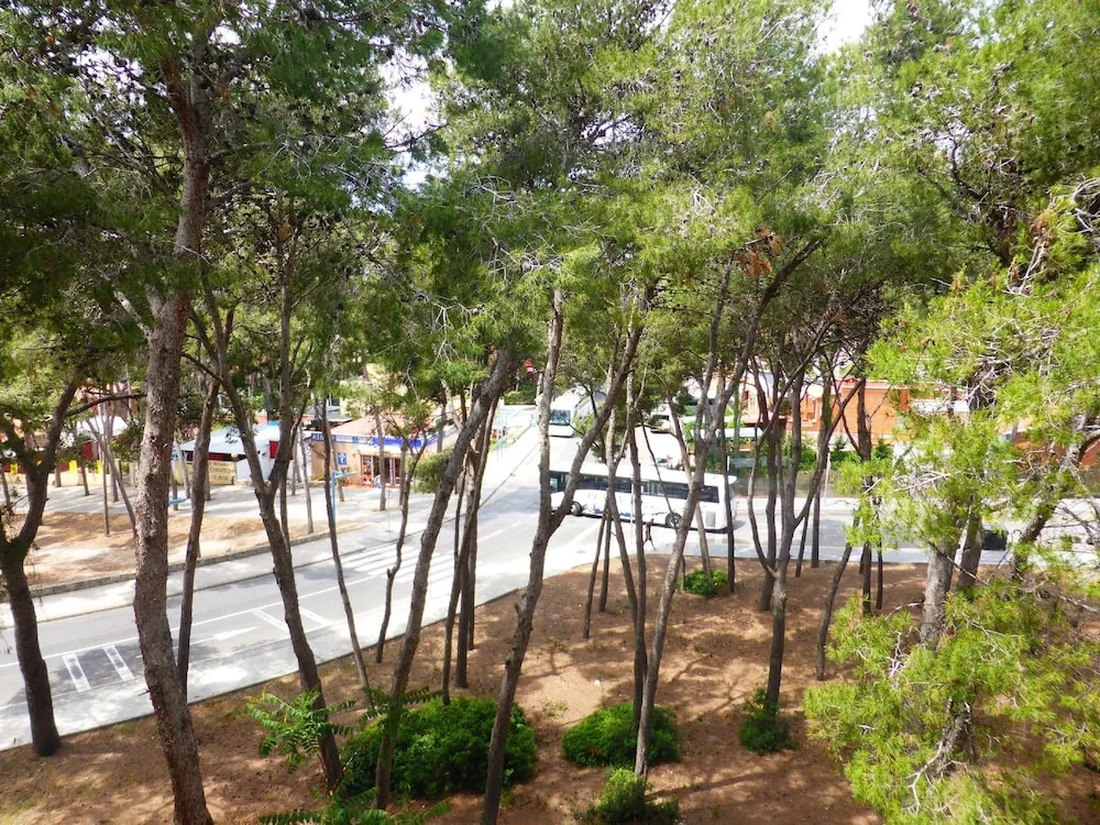 Apartamento M&C del Bosc