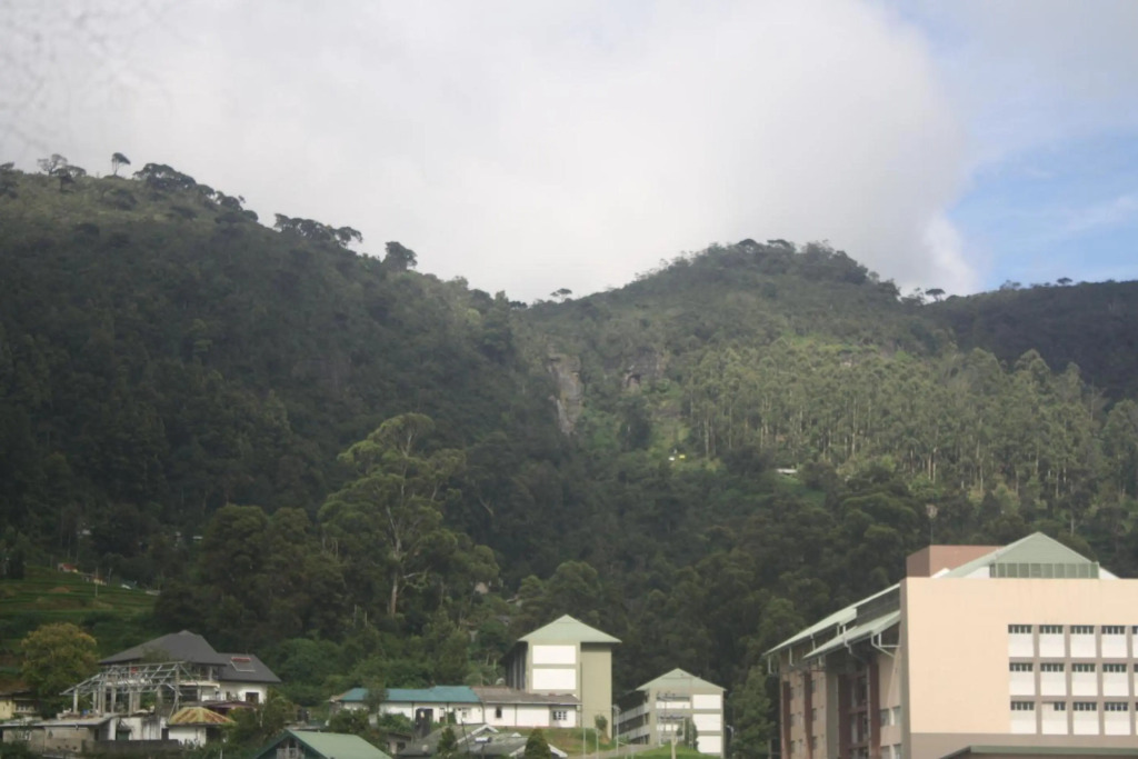 DREAM Hill HOMESTAY NUWARA ELIYA