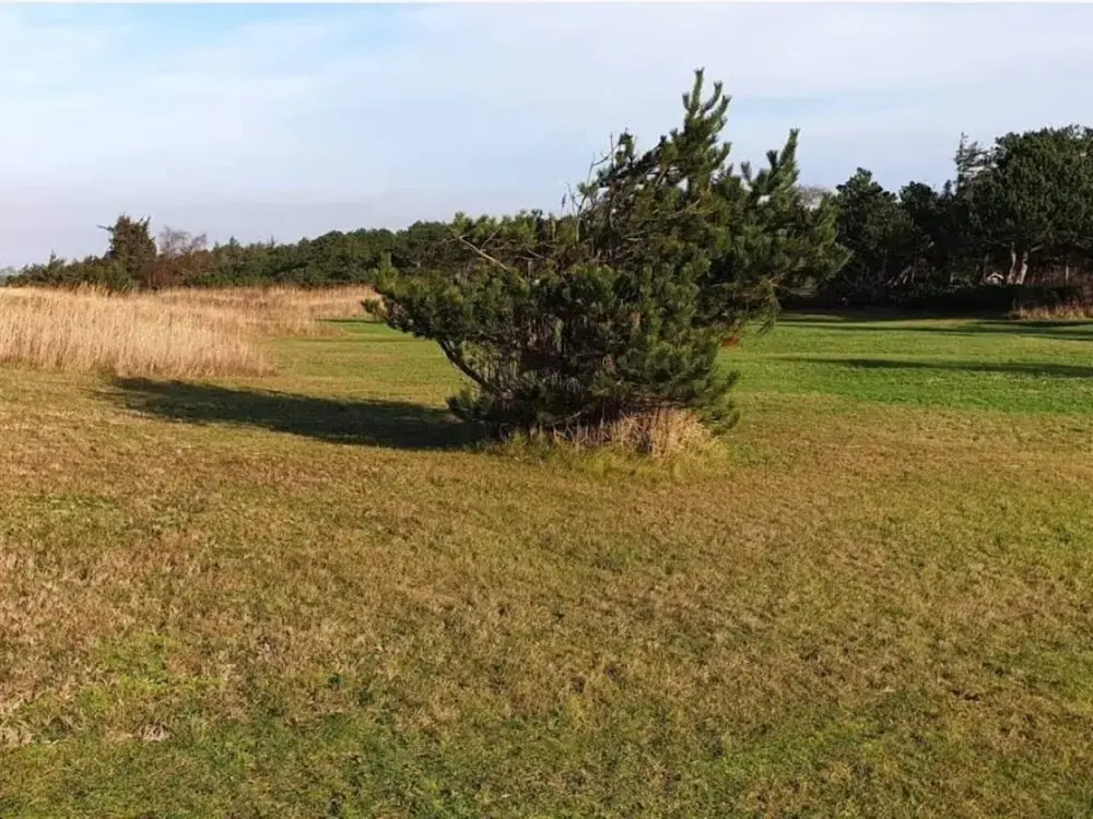 5 Person Holiday Home in Store Fuglede
