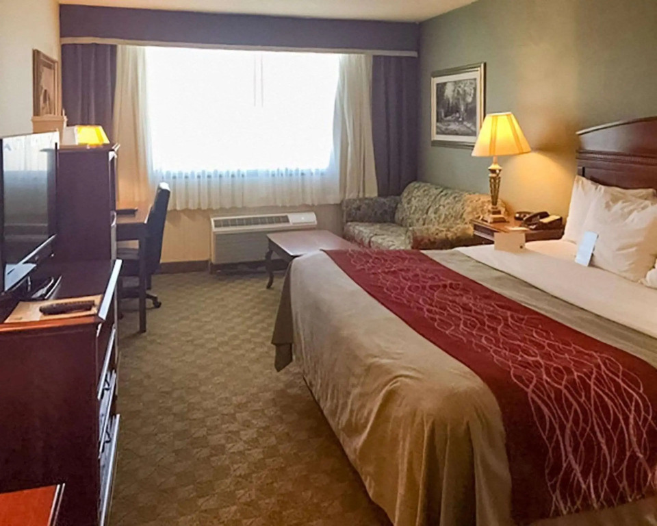 Comfort Inn Springfield