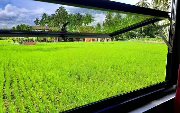 Wafaby Guest House