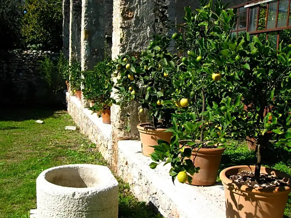 Hotel Belvedere