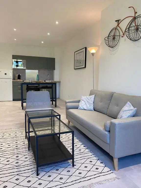 T3 2 chambres-centre-ville Place d'Armes Clim-Wifi