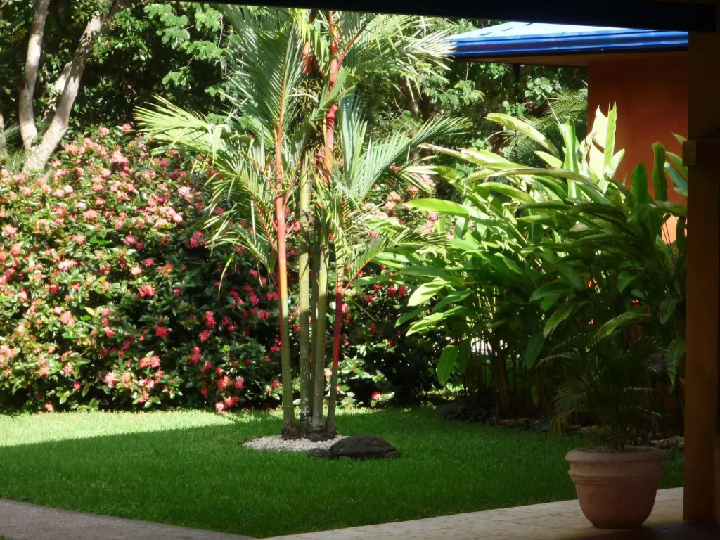 Boutique Hotel Luna Azul