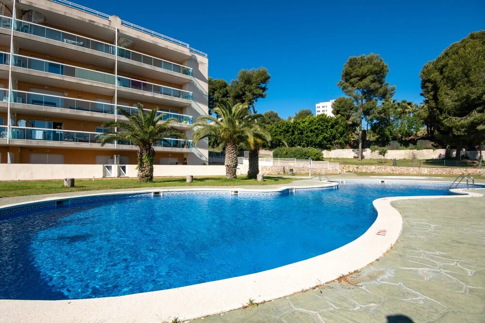 Gocosta Siesta Dorada Family 1