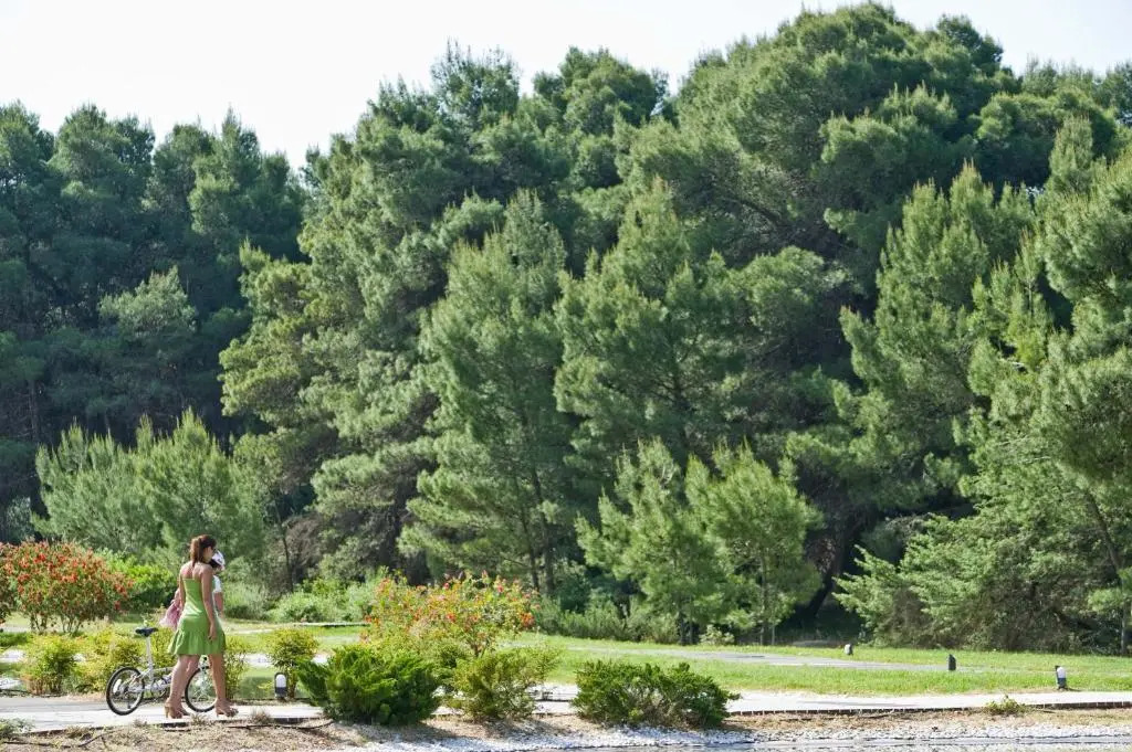 Отель Ethra Reserve - Alborèa 5*