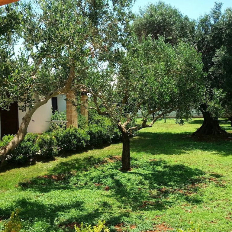 Gli Ulivi Residence