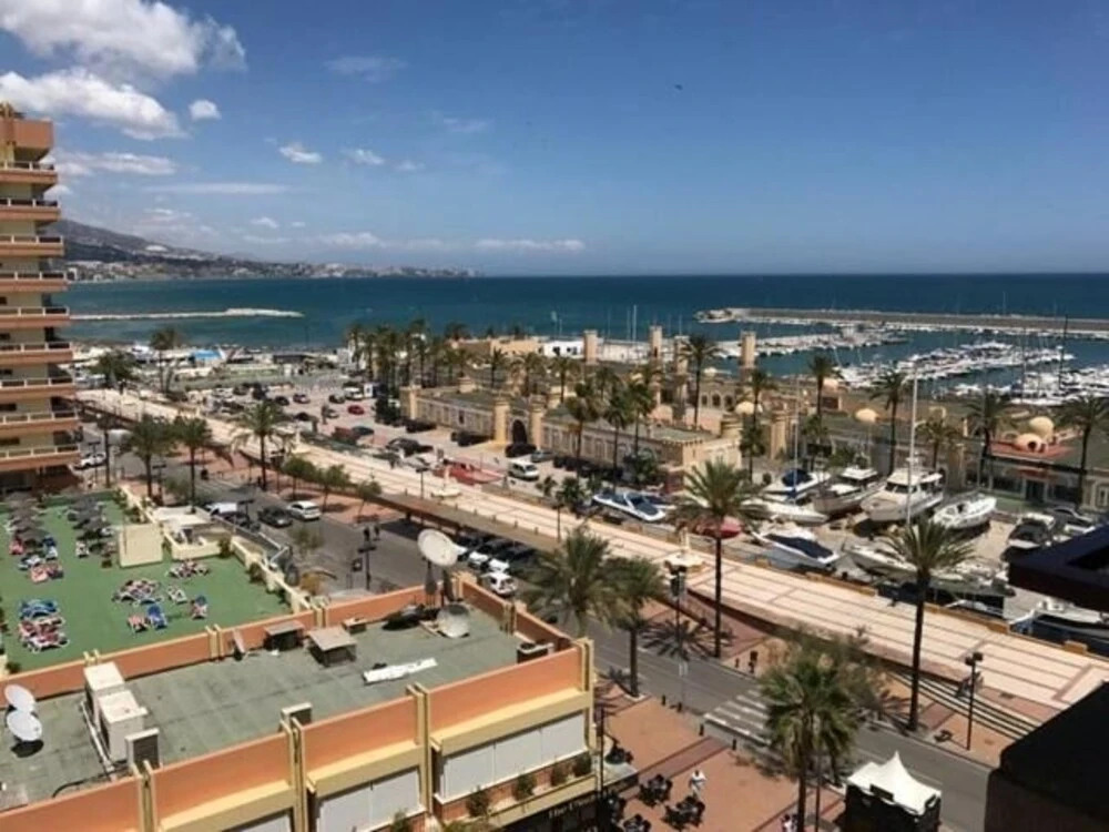 Palmeras Estudio Vista Mar 17