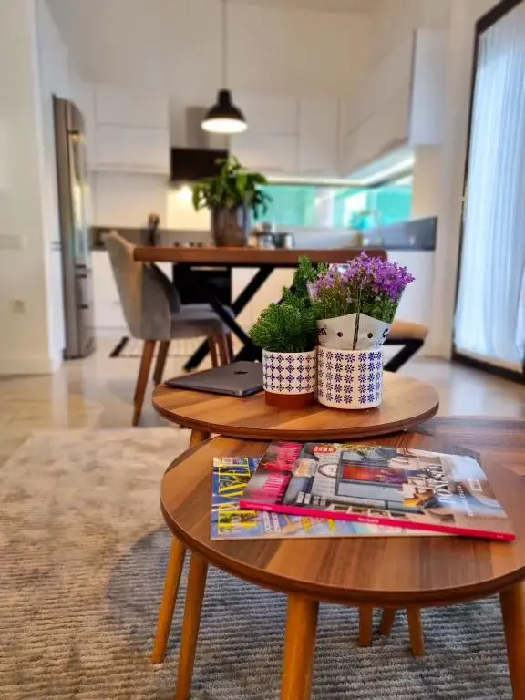 Suelo Flat Villa for Family