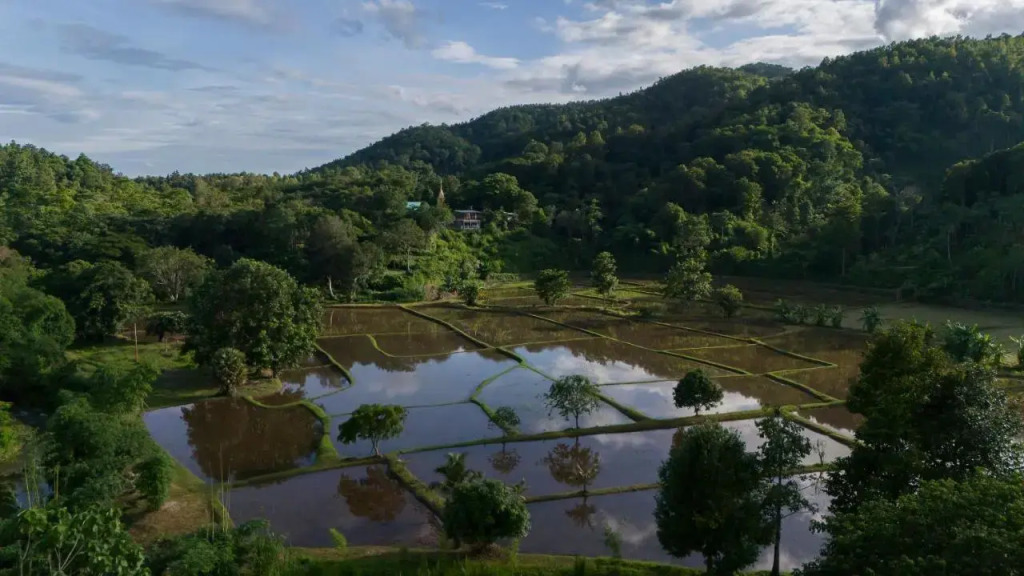 Sirin Farm Chiang Rai