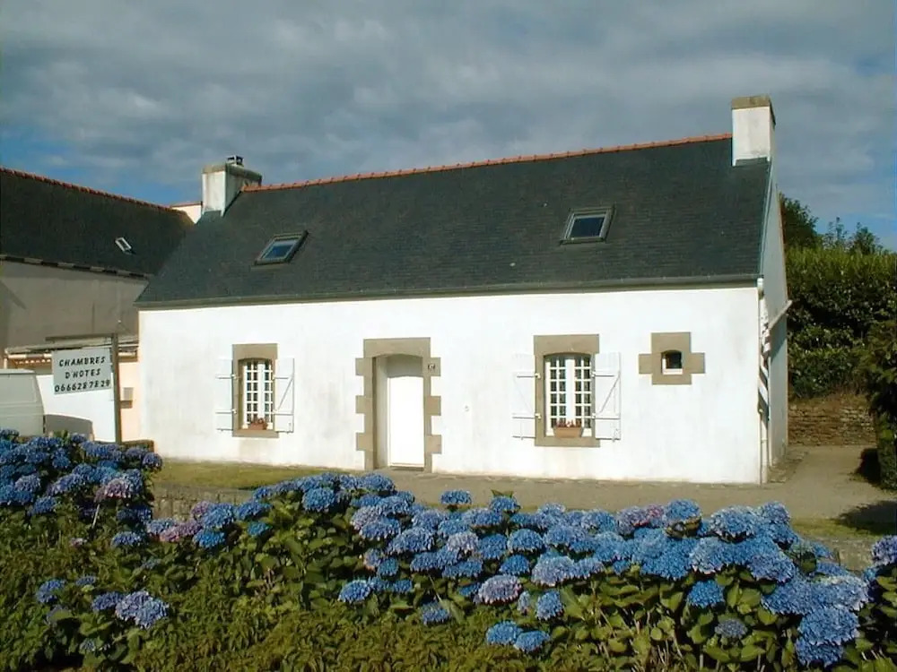 Ti gwenn