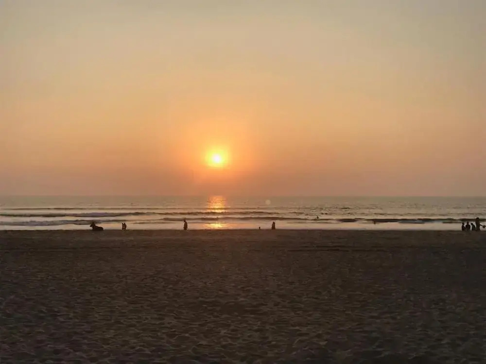 Madhu Beach Huts
