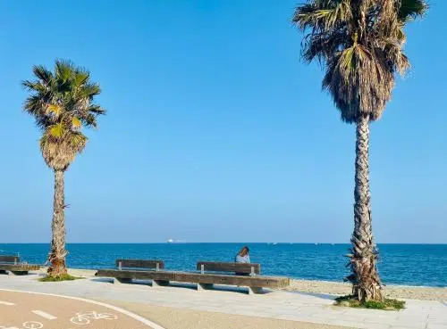 Flat 2 Bedrooms 1 Bathroom - Savona