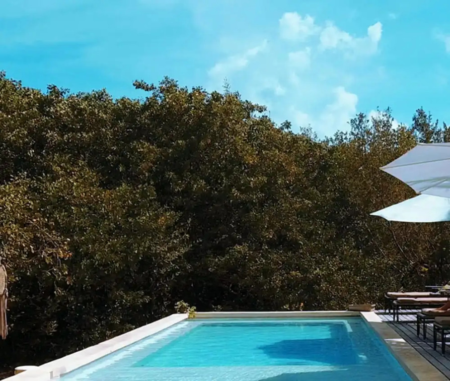Vida Silvestre Tulum