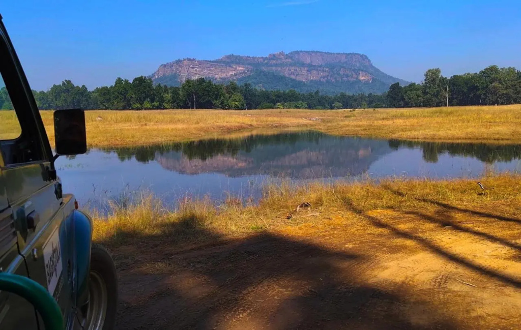 Bagh Tola, Bandhavgarh Tiger Reserve