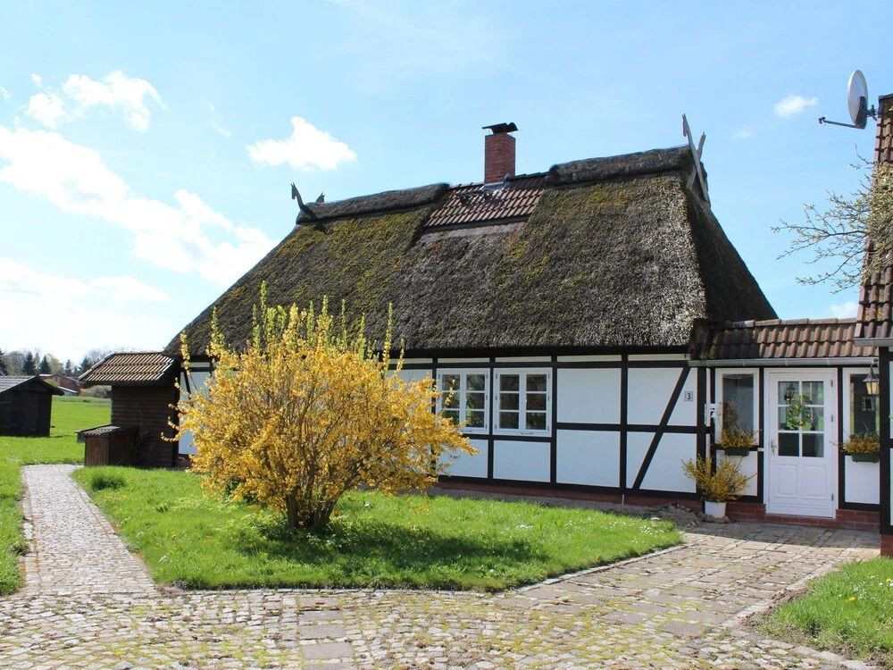 Cozy Apartment in Hohenkirchen with Terrace