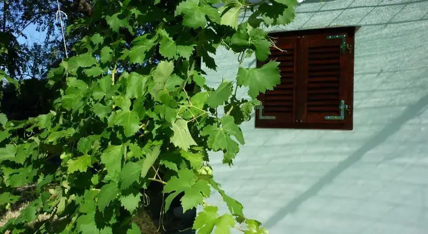 Nature Apartment in Split