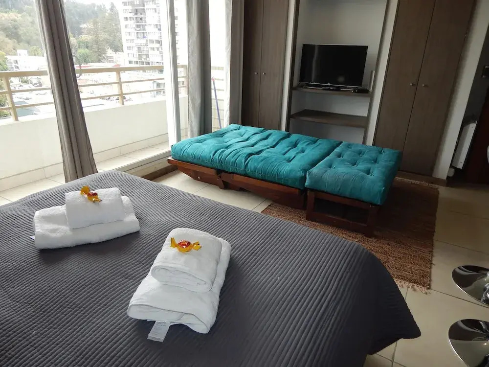 811A Departamento Plaza Vina