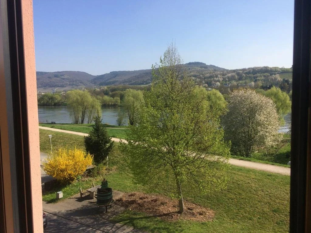 Moselhotel Lesura